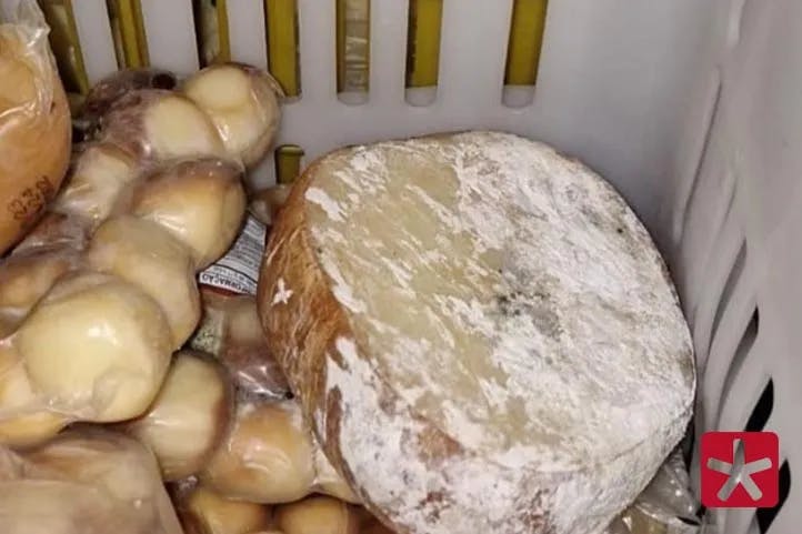 Fiscais apreendem 20t de queijo em distribuidora clandestina localizada no bairro Morada da Serra