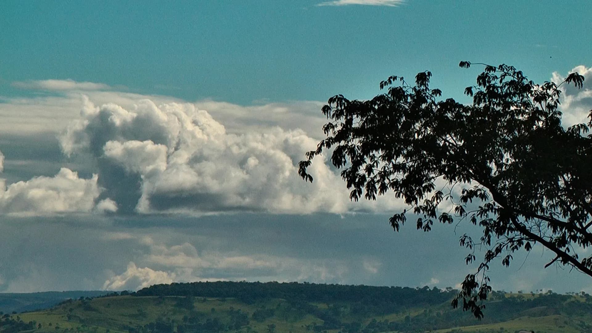 oscilação climática