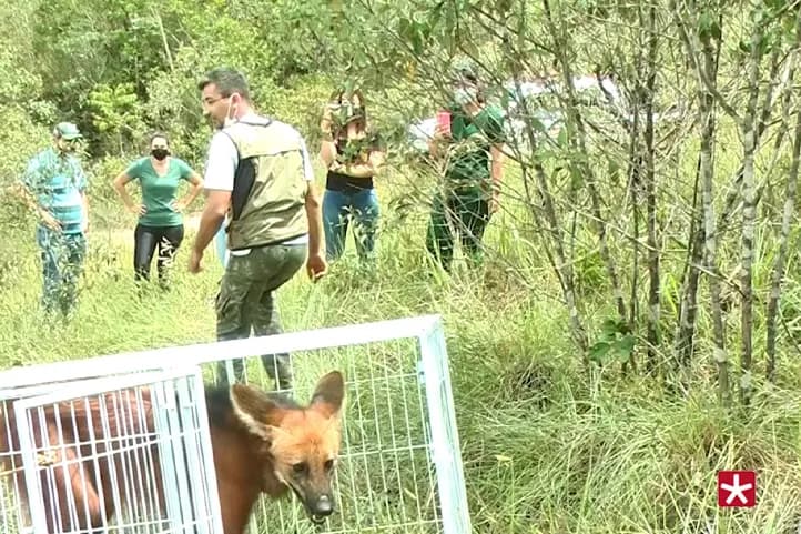 CETRAS Patos de Minas