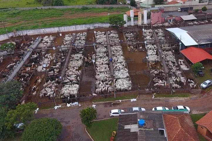 imagem aérea mostrando curral com dezenas de bovinos no interior do parque de exposições de Patos de Minas