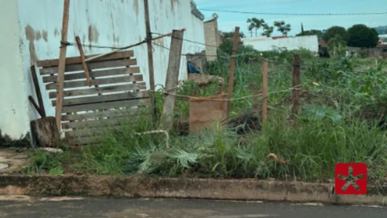 Idoso é preso após ser flagrado tendo relação sexual com cadela em lote vago