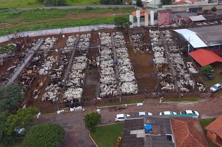 imagem aérea mostrando curral com dezenas de bovinos no interior do parque de exposições de Patos de Minas