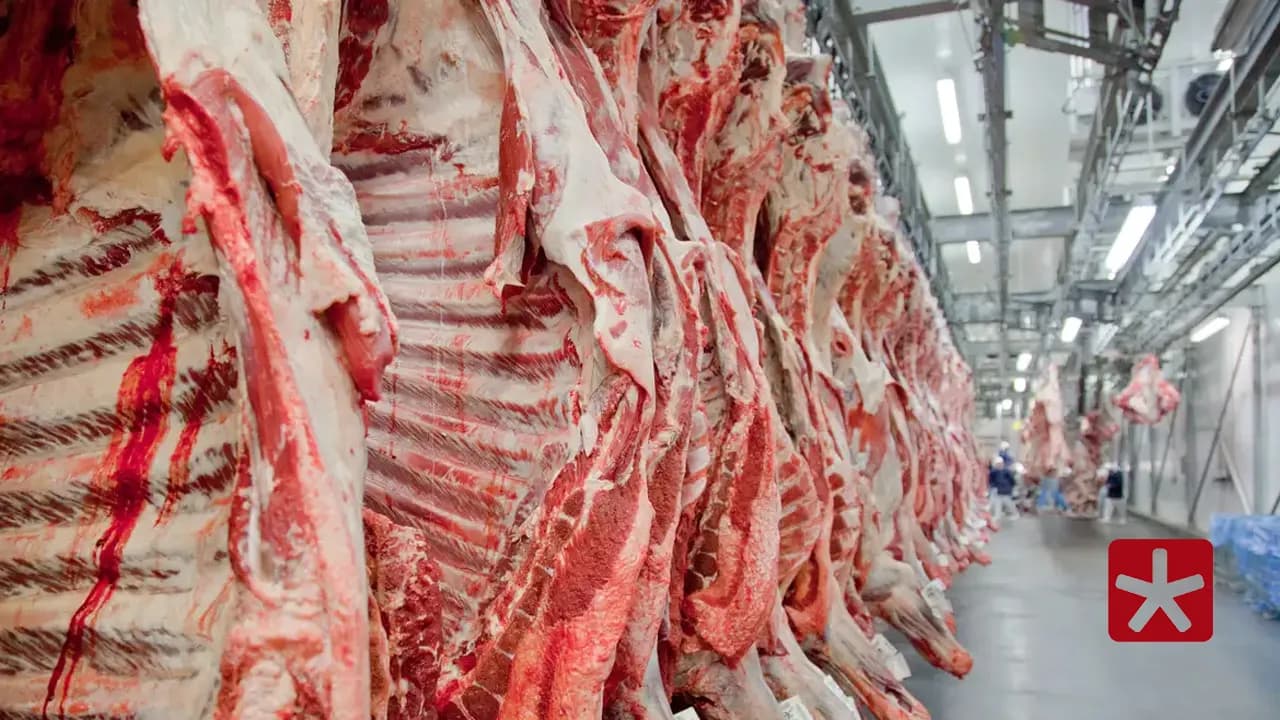 Brasil exportou 314,6 mil toneladas de carne bovina in natura, fresca e congelada