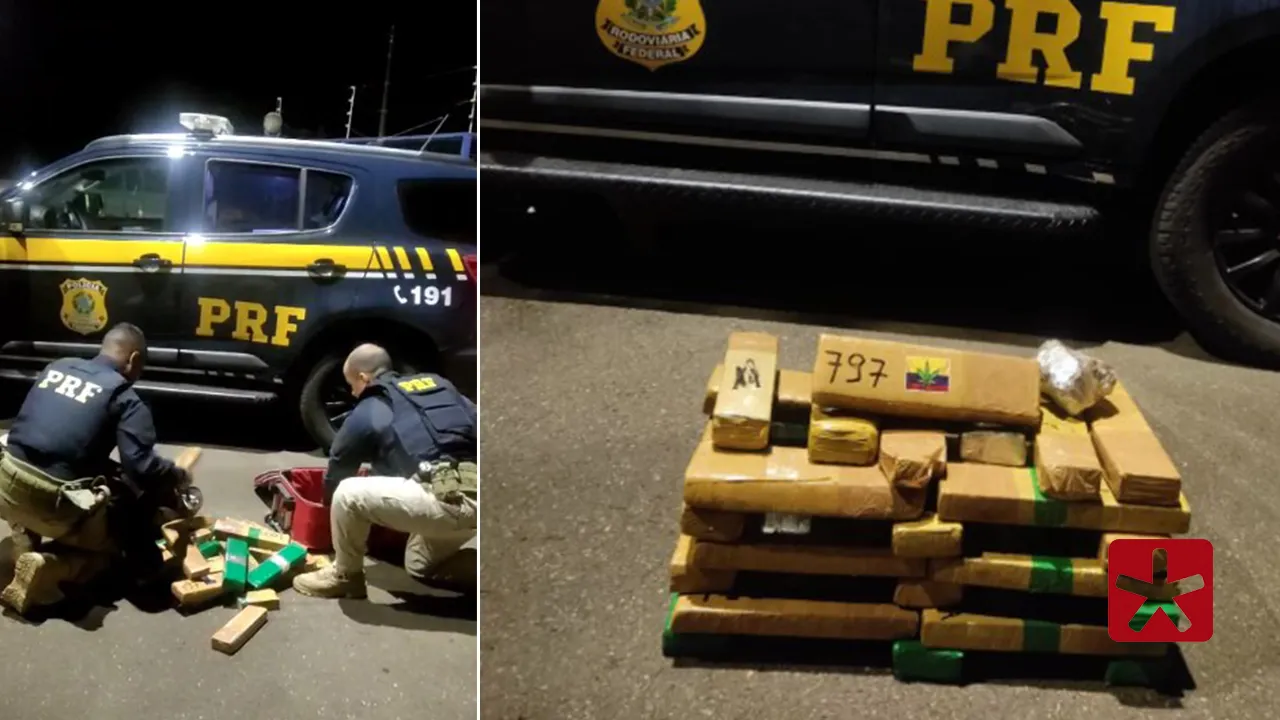 PRF localiza malas com maconha que estavam sendo transportadas em ônibus na BR-365