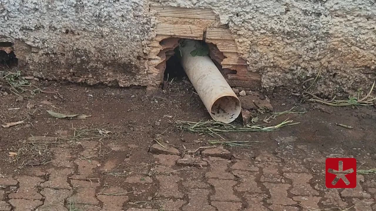 Moradores alegam não aguentar mais conviver com o mau cheiro e sujeira na rua