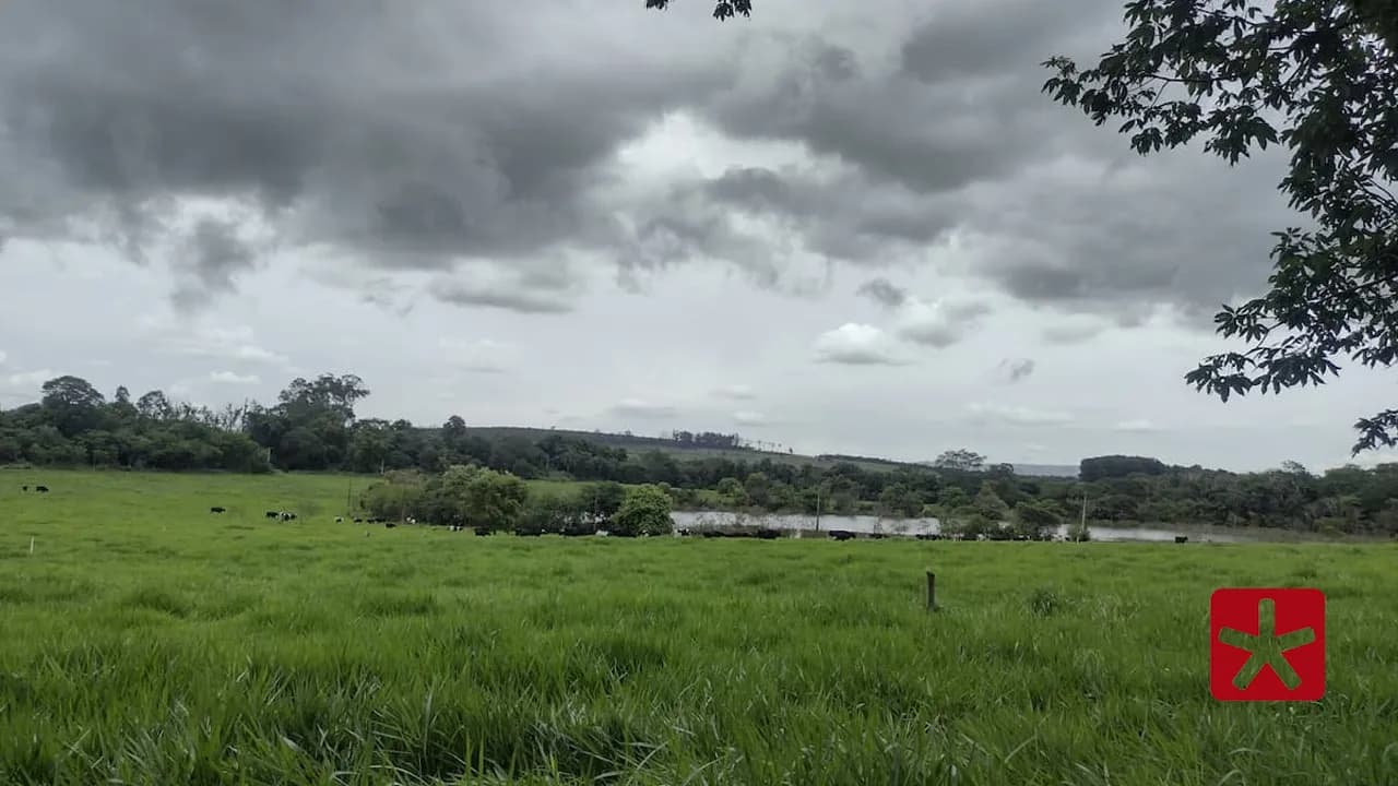 Planejamento evita perdas econômicas, fundamental para a lucratividade da pecuária